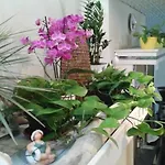 Brezza מלון 3*