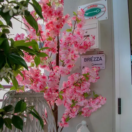 Brezza 리미니