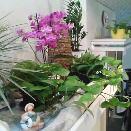 Brezza Ξενοδοχείο 3*